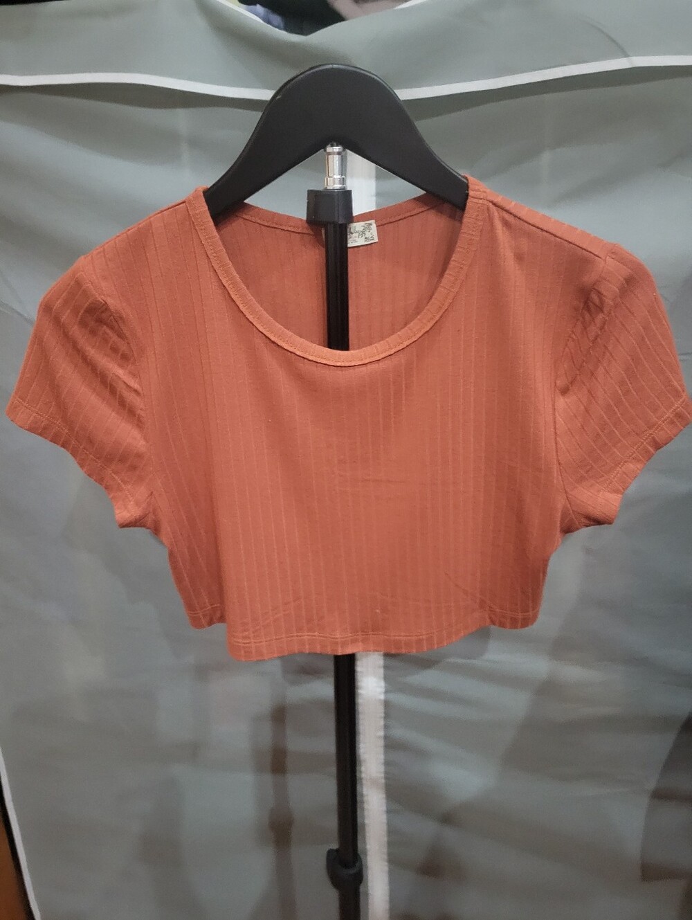 Infinitely Free People Rust Ribbed Crop Tee - Women Tops